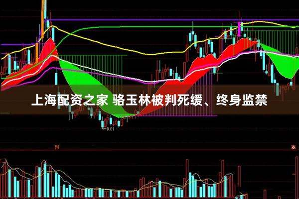 上海配资之家 骆玉林被判死缓、终身监禁